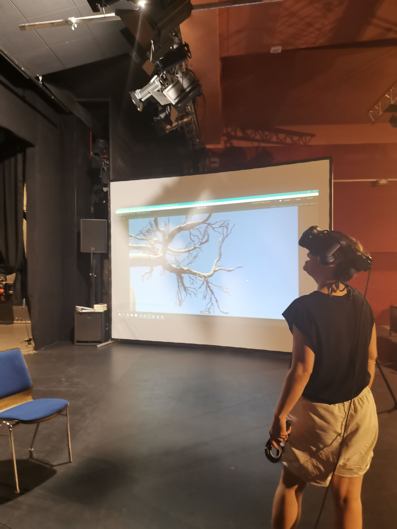 Me, Myself & My Avatars (or remapping the homunculus)